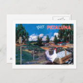 世界の卵かごポスター ポストカード (正面/裏面)