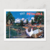 世界の卵かごポスター ポストカード (正面)