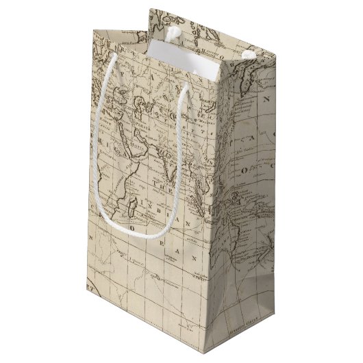 世界の図表 スモールペーパーバッグ (裏面アングル)