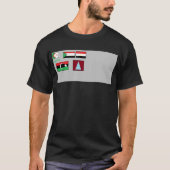 世界の国旗 Tシャツ (正面)