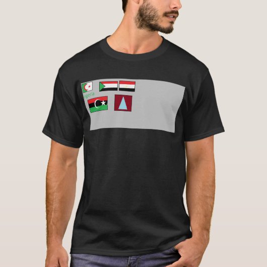 世界の国旗 Tシャツ (正面)