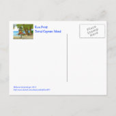 世界の国/木カラフルシンボルや象徴/ラム点 ポストカード (裏面)