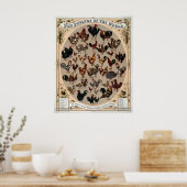 世界の家禽 ポスター (キッチン)