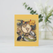 世界の家禽 ポストカード (スタンド正面)