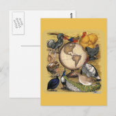 世界の家禽 ポストカード (正面/裏面)