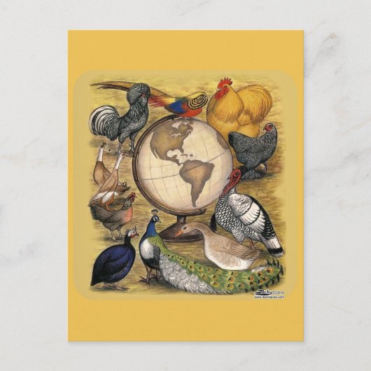世界の家禽 ポストカード (正面)
