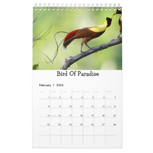 世界の年次カレンダー|の鳥のギフトの鳥 カレンダー (2月 2026)