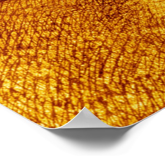 世界の戦争H G Wells Alvim Corera 1906 ポスター (角)