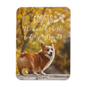 世界の抗うつ剤をコーギス最高のする マグネット (縦)