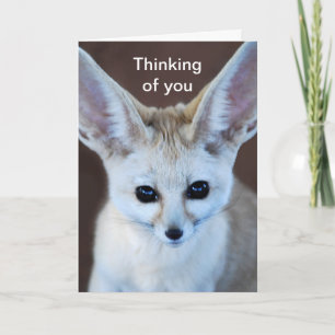 世界の最もかわいいFennecのキツネ カード