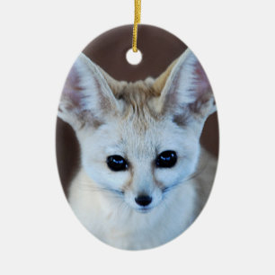 世界の最もかわいいFennecのキツネ セラミックオーナメント