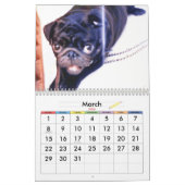 世界の最も最高のなパグ カレンダー (3月 2026)