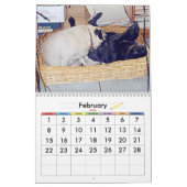 世界の最も最高のなパグ カレンダー (2月 2026)