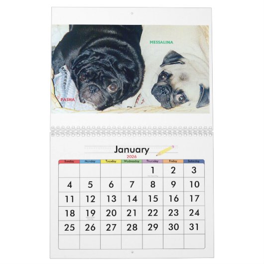 世界の最も最高のなパグ カレンダー (1月 2026)