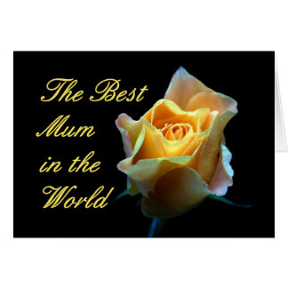 世界の最も最高のなミイラ