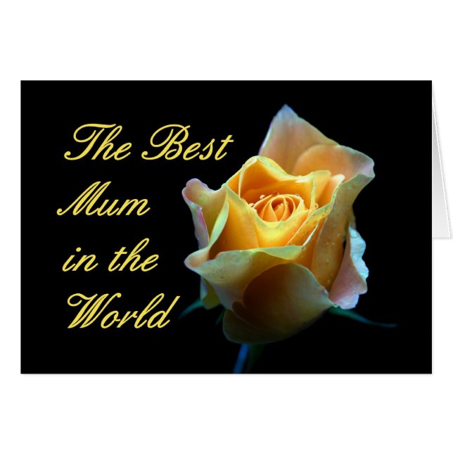 世界の最も最高のなミイラ (正面横)