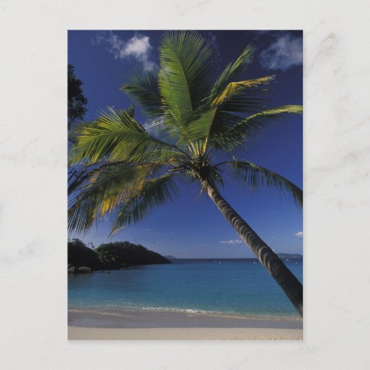 世界の最高のビーチの一つ ポストカード (正面)
