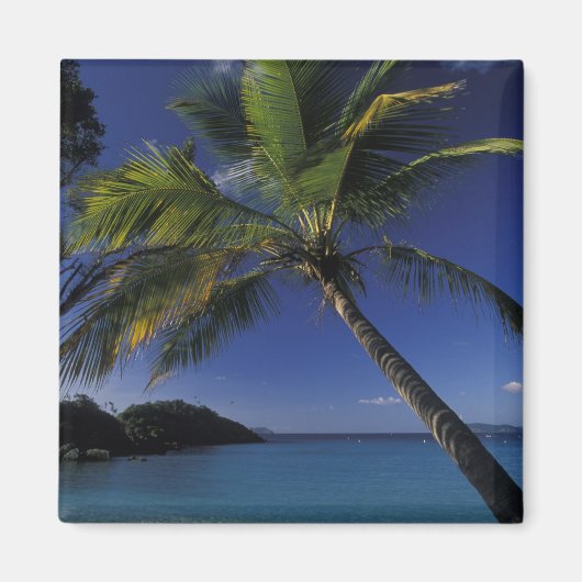 世界の最高のビーチの一つ マグネット (正面)