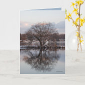 世界の木としてヤナギ カード (黄色い花)