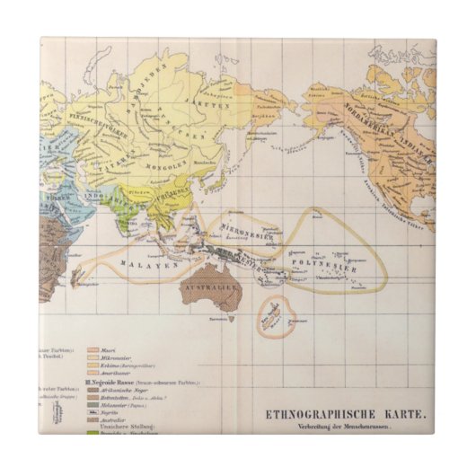 世界の民族誌の地図 タイル (正面)