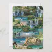 世界の海と川、湖、スポーツ活動 招待状 (裏面)