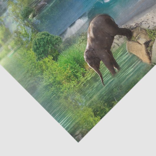 世界の海と川、湖、スポーツ活動 薄葉紙 (詳細)