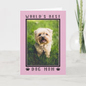 世界の犬最高の母ハッピーバースデーフォトピンク カード (正面)