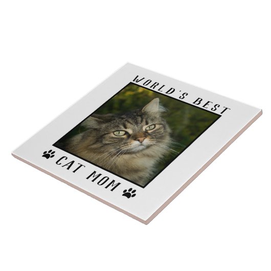 世界の猫最高のの母の手がペットの写真の枠をプリント タイル (側面)