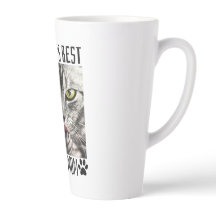 世界の猫最高のの母親   