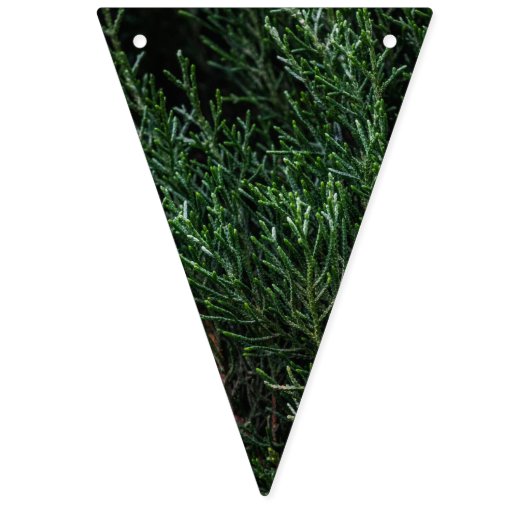 世界の緑の旗布の旗の旗への喜び バンティングフラッグ (第3の旗)