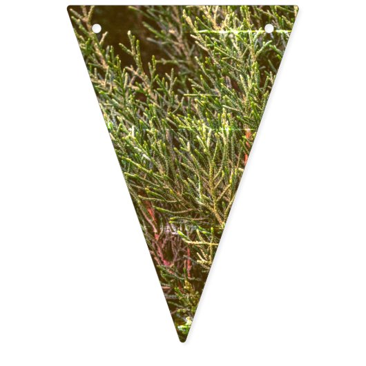 世界の緑の旗布の旗の旗への喜び バンティングフラッグ (第2の旗)