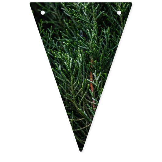 世界の緑の旗布の旗の旗への喜び バンティングフラッグ (第1の旗)