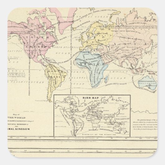 世界の色の地図 スクエアシール (正面)