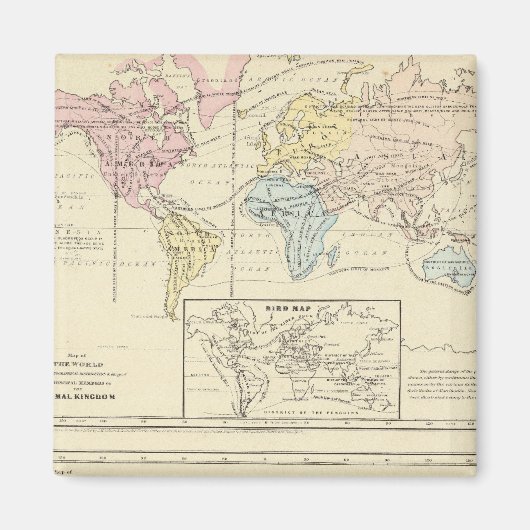 世界の色の地図 マグネット (正面)