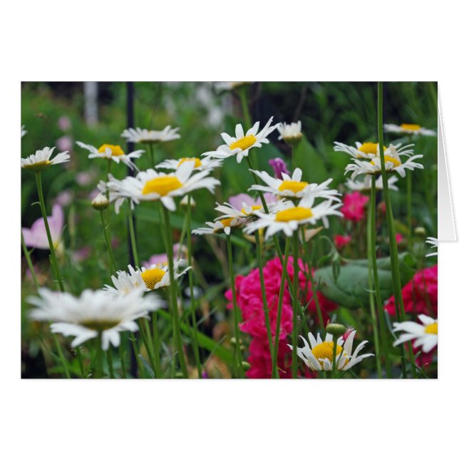 世界の花 (正面横)