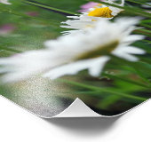 世界の花 フォトプリント            (角)