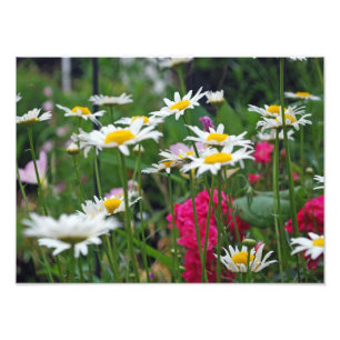 世界の花 フォトプリント           