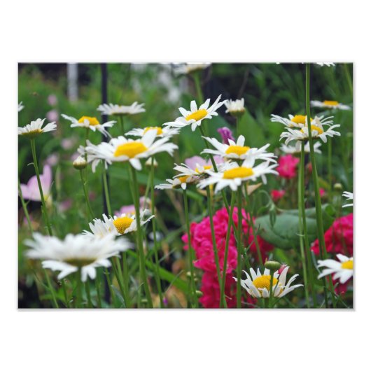 世界の花 フォトプリント            (正面)