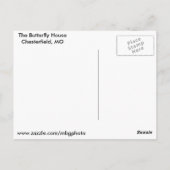 世界の蝶 ポストカード (裏面)