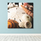 世界の貝類詳細2 キャンバスプリント (インサイチュ (ウッドフロア))