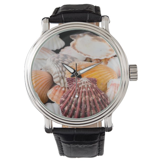 世界の貝類詳細2 腕時計 (正面)