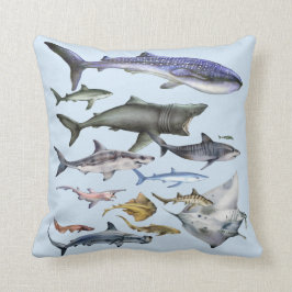 世界の鮫 クッション