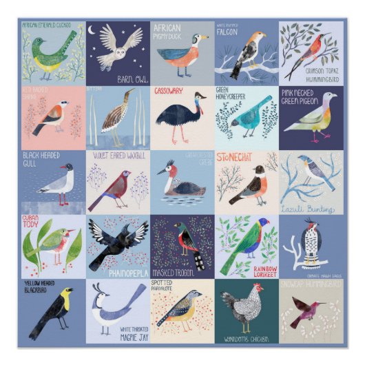 世界の鳥たちの水彩画アート ポスター (正面)