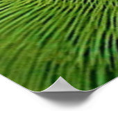 世界の鳥インディアンリングや輪のオウム ポスター (角)