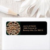 世界の鶏 ラベル (インサイチュ)