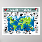 世界の鶴 ポスター (正面)