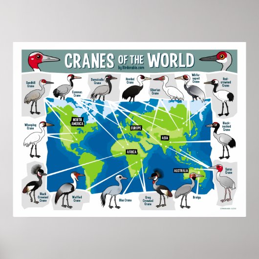 世界の鶴 ポスター (正面)