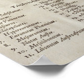 世界の32風との風バラ ポスター (角)