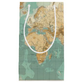 世界のbathyorographical地図 スモールペーパーバッグ (正面)