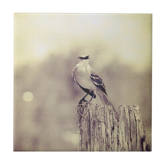 世界へ歌うこと! タイル (正面)